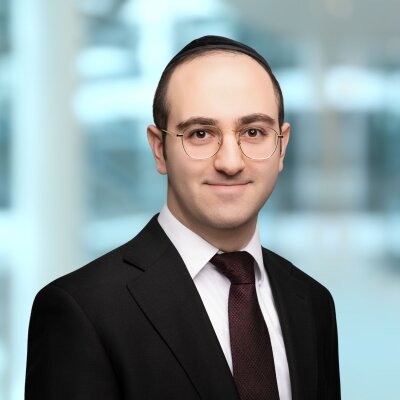 Avi Zagelbaum, Holtzman Vogel